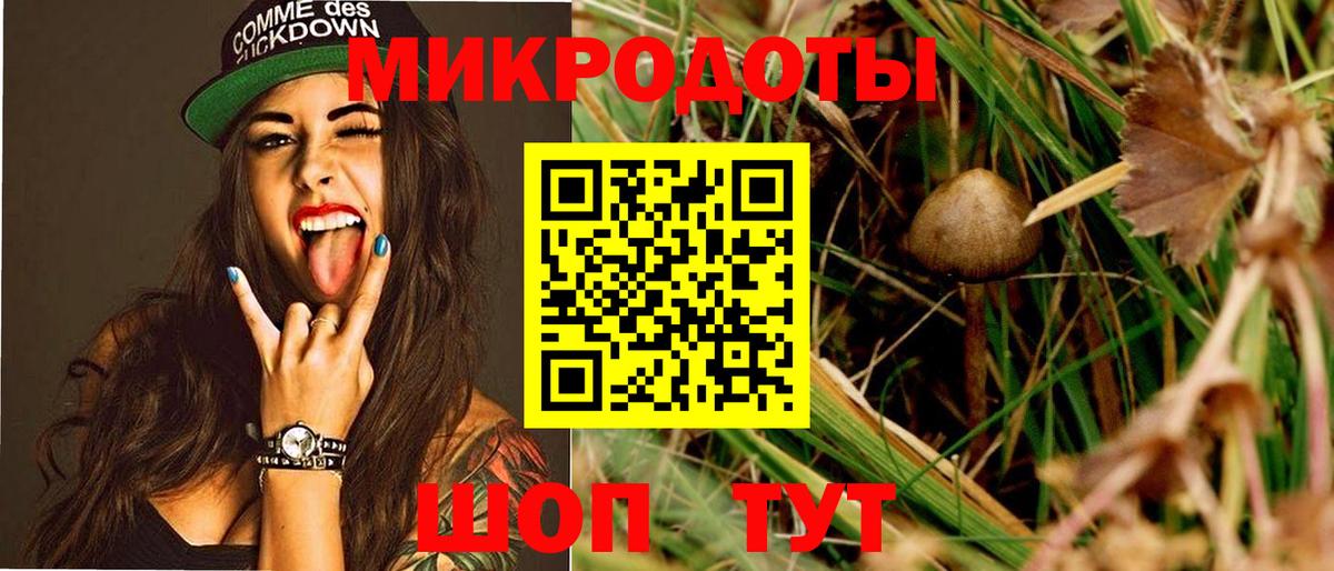 Псилоцибиновые грибы Psilocybine cubensis  Вход с VPN  Мурманск 