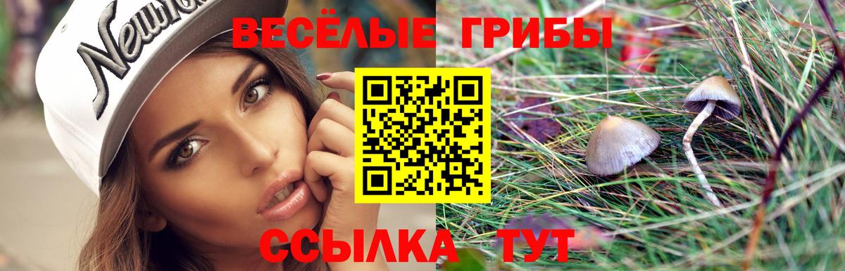 Псилоцибиновые грибы мухоморы Мурманск